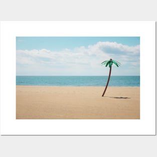 Palm tree on the beach Posters and Art